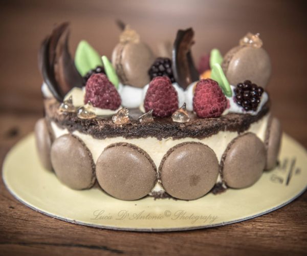 semifreddo con cioccolato e crema decorato pasticceria fratelli d'antonio terni